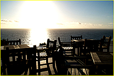 Cornwall Tourism Magazine - Doggy holidays in Cornwall - Polurrian Bay Hotel - Copyright - Ed Stone Web Design